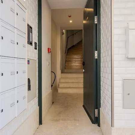 Nomad's Augusta Collection *